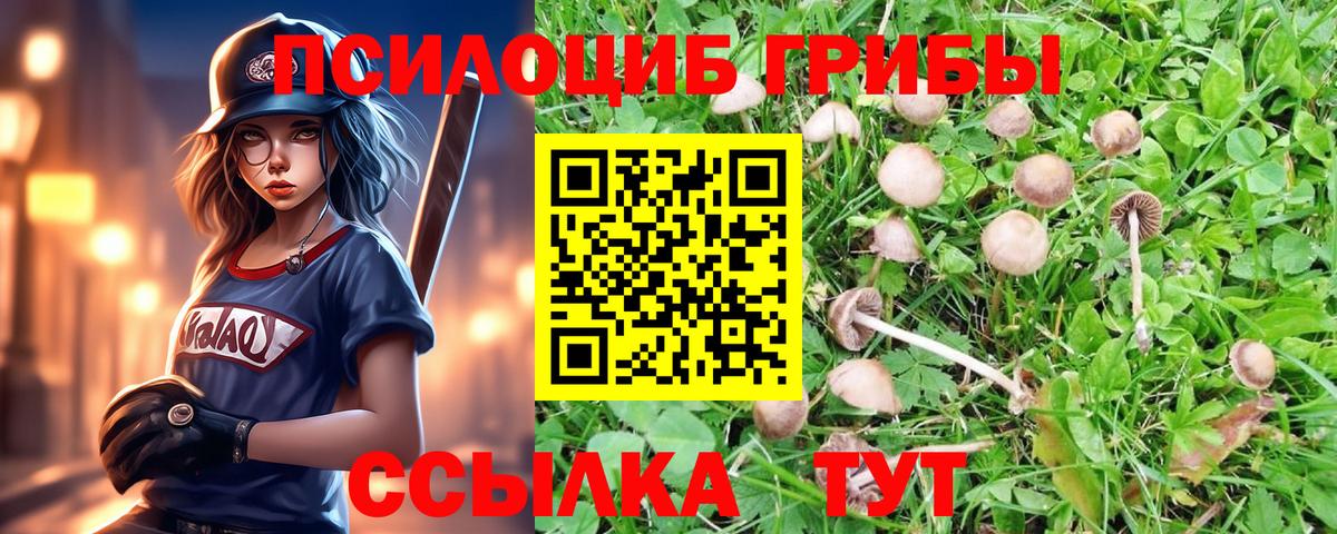 Псилоцибиновые грибы ЛСД  Галлюциногенные грибы Cubensis  Уссурийск  Вход с VPN 